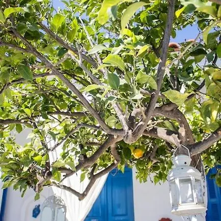 Lemonia House Lägenhet Vívlos