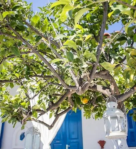 Lemonia House 아파트 Vívlos